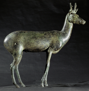 Roebuck, bronze from Herculaneum, Italy (bronze)