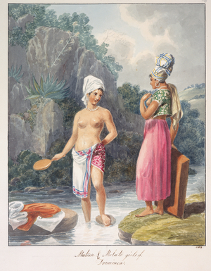 Mesteese and mulatto girls of Dominica, c.1843-50 (watercolour)