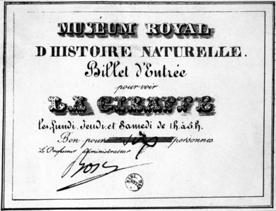 Ticket to see the giraffe at the museum in Paris (the giraffe was given by vice-king of Egypt to franch King  CharlesX in 1826)