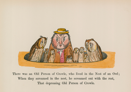 There was an Old Person of Crowle, who lived in the Nest of an Owl (coloured engraving)