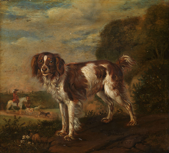 A spaniel, 1653 (oil on panel)