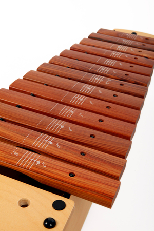 Close up detail of bars and the printed notes on them. On a primary or Junior school Soprano Xylophone with sticks - generic