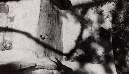 Step Edge; below Nash’s garden at New House, Rye, Sussex, 1931-46 (photo)