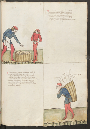 Full page: text and miniatures: " Cocumero " (miniature)
