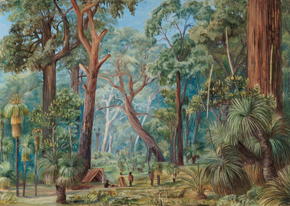 Scene in a West Australian forest, 1880 (oil on board)