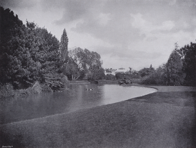 Botanical Gardens (b/w photo)