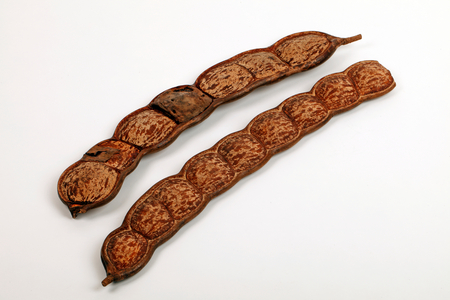 Giant seedpod shakers from Africa, - Percussion Instrument