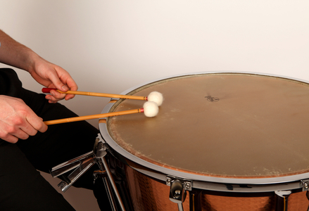 Timpani sticks or beaters in playing position on a calf headed timpani