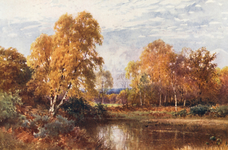 The Waning Year (colour litho)