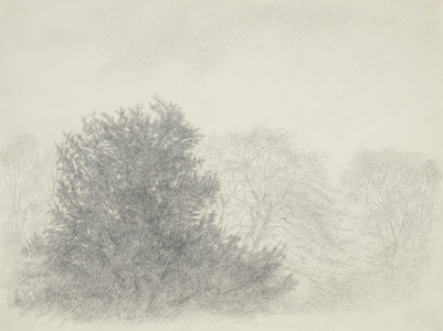 Trees and Sky, 1968 (drawing)