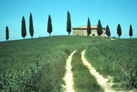 Landscape in Tuscany (Italy), 1999 (photo)
