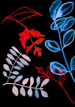 Night Flora IV, 2018 (digital)