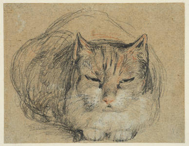 Cat, study for 'The Cut Finger' (recto), c.1809 (black, red & white chalk, black & white chalk on laid paper)