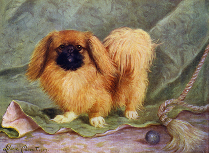 The Pekinese, Champion Chu-erh of Alderbourne (colour litho)