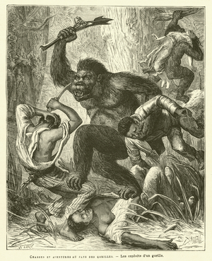 Chasses Et Aventures Au Pays Des Gorilles (engraving)