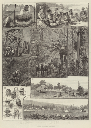 Scenes in Victoria, Australia (engraving)