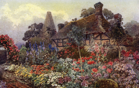 Poppies, Delphiniums, etc, in a Farmhouse Border (colour litho)