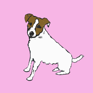 Jack russell, 2014 (mono print)