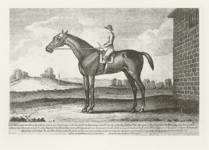 Bay Malton, foaled 1760 (b/w photo)