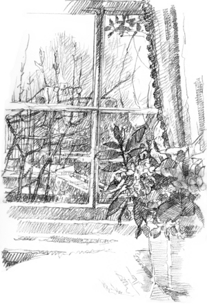 Flowers by a Window, 2016 (pencil on paper)