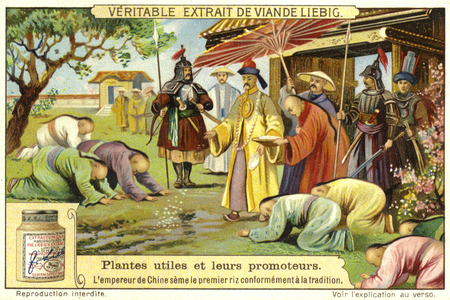 The Emperor of China making the first sowing of rice according to tradition (chromolitho)