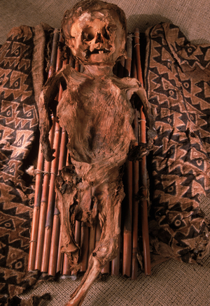 The mummy of a child that was buried wrapped in textiles. Nearly half of the burials at the sites were children, who offered suffered from anemia and were vulnerable to infection.