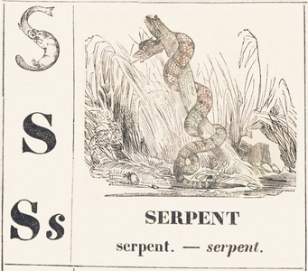 S for Serpent, 1850 (engraving)