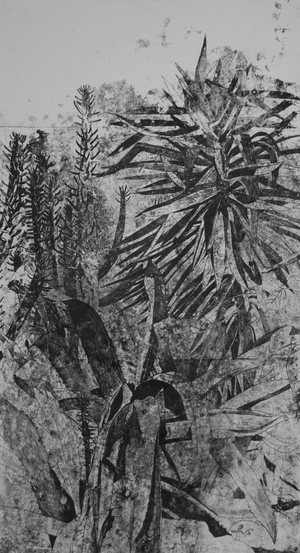 Prickly Plants in the Garden, 2019 (monoprint)