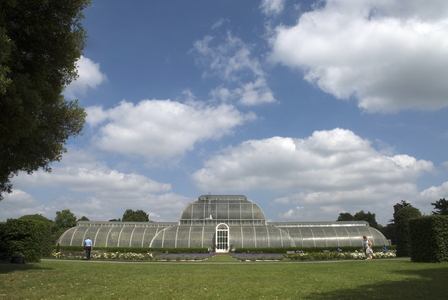 View of the Palm House, 2007 (photo)