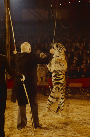 Heinz Konsalik in Stars in der Manege, 1983 (photo)