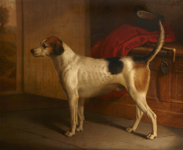 Guardian': Portrait of a Hound