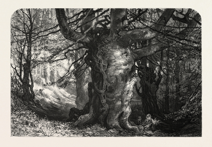 Burnham Beeches, UK, 19th Century Engraving
