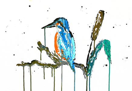 Kingfisher, 2026 (ink on paper)