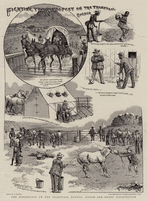 Fighting the Rindepest on the Transvaal Border (engraving)
