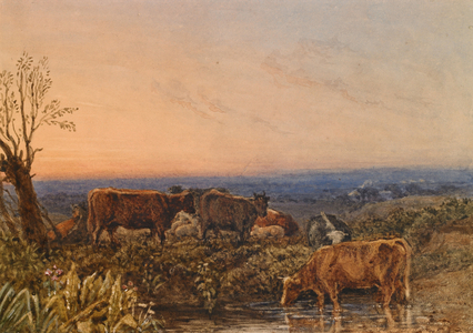 Cows Watering at a Pool, Sunset, c.1835 (w/c, gouache & gum arabic on paper)