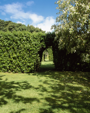 Greenfort Co Donegal, Escalloia Hedges And Arch, Summer (photo)
