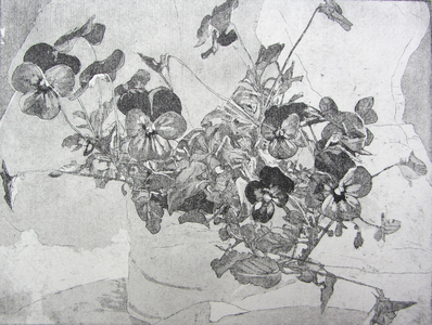 Viola, 2014 (etching)