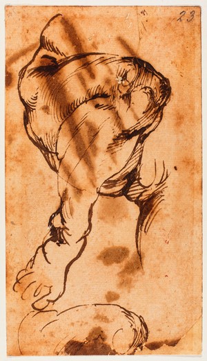 Leg Study for the Child in the Doni Tondo, 1507-1508 (drawing)
