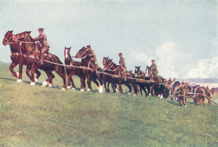 A Hard Pull, Hauling a Heavy Howitzer Uphill (colour photo)