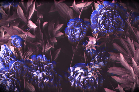 Blue notes, 2019 (photography)