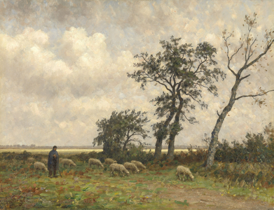 Landscape in Drenthe, 1875 (oil on canvas)