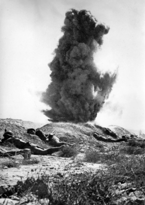 II. WK, African campaign, 1942 (photo)