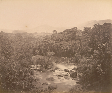 Meenmooty River, Travancore, No.2, Album of South Indian Views, c.1900 (b/w photo)