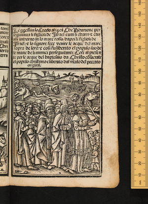 Figures of the Old Testament, c1525-1531 (woodcut)