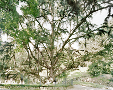 Villa Pallavicini, Pegli, Genoa, Italy, 2010 (photo)
