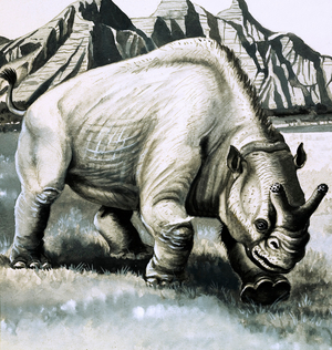 Brontotherium from the Oligocene age (gouache on paper)