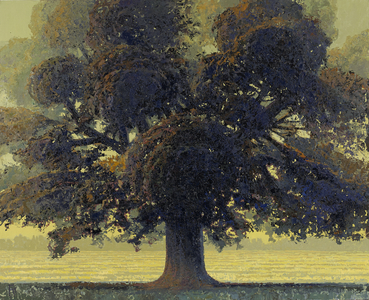 August Tree, 2013 (oil on linen)