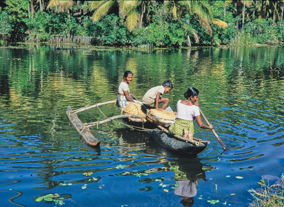 Canal, west coast, India, 1972 (photo)