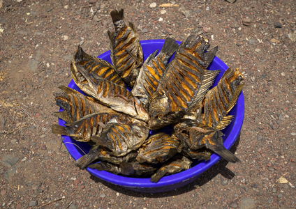 Dried and salted fishes in el molo tribe, Turkana lake, Loiyangalani, Kenya, Africa (photo)
