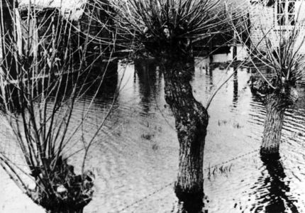 II. WK, Atlantic Wall, Netherlands 1944 (photo)